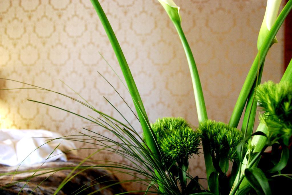 Avogaria 5 Rooms Venesia Bagian luar foto