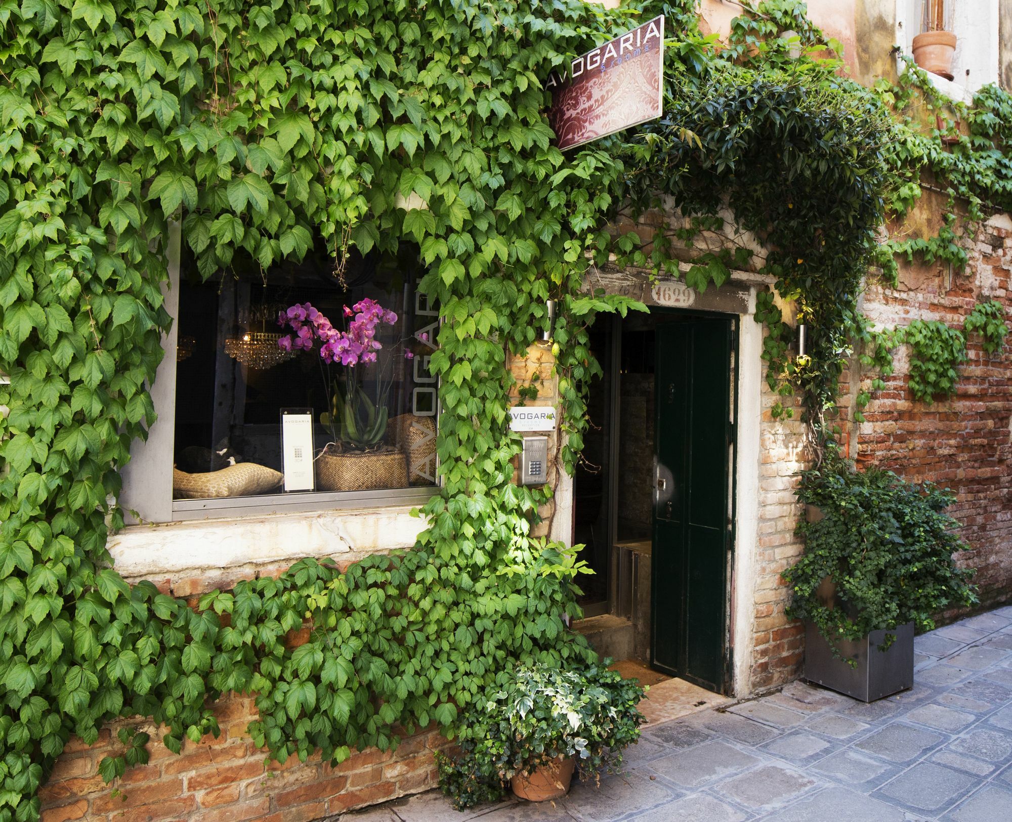 Avogaria 5 Rooms Venesia Bagian luar foto