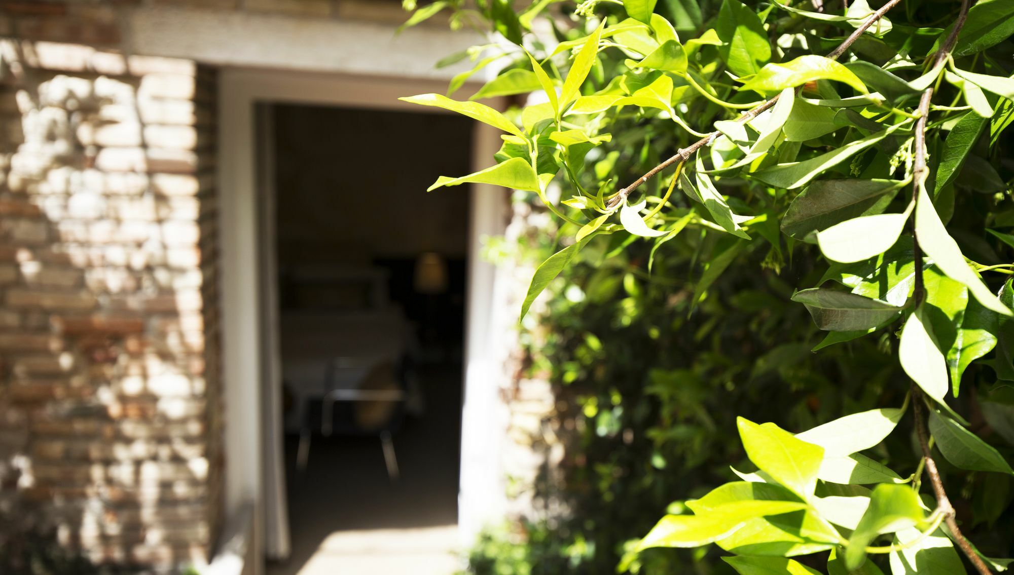 Avogaria 5 Rooms Venesia Bagian luar foto